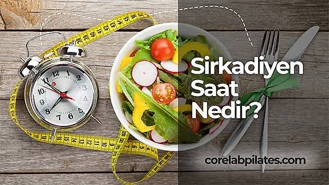 sirkadiyen saat